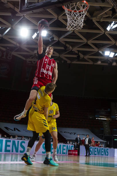 引进的托纳 引进的托纳